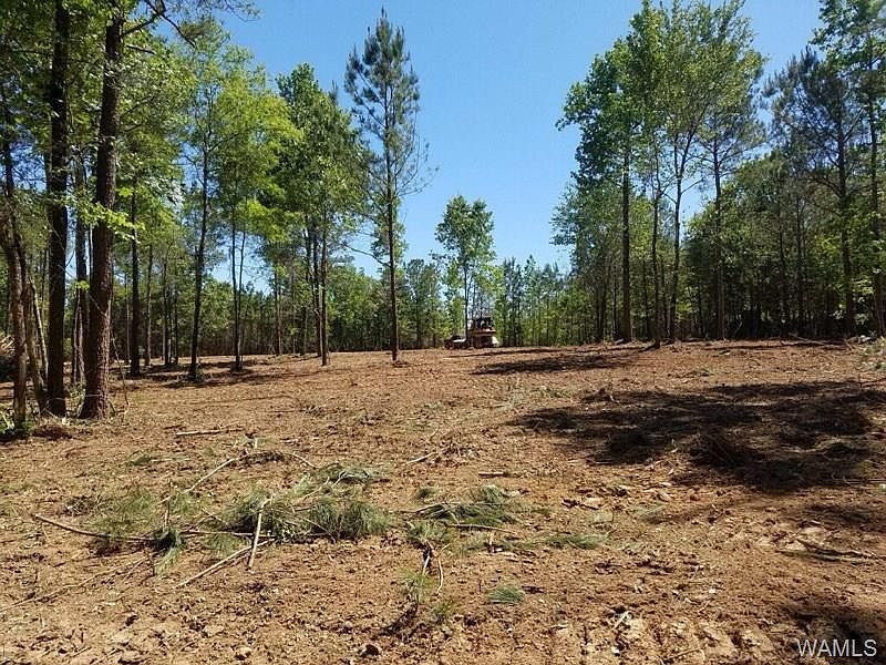 2nd image of 15860 Brownville Rd