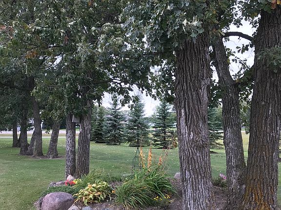 Many perennial plants