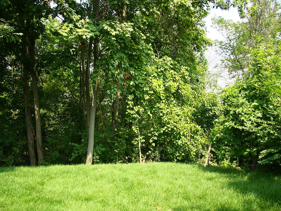 2nd image of 4830 Pleasant Creek Ct