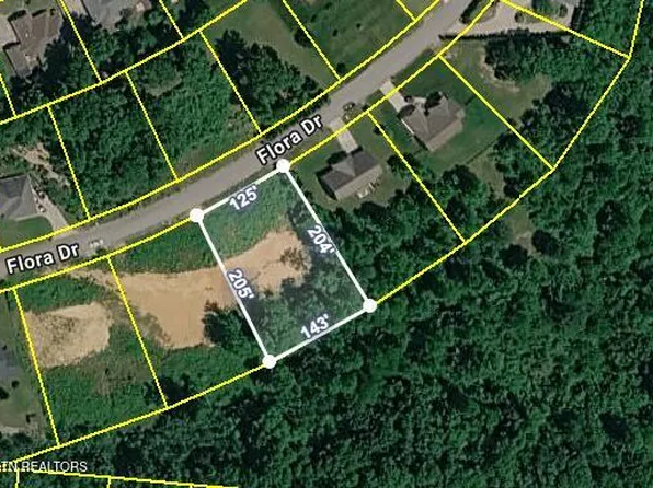 390 Flora Dr, Lenoir City, TN 37771