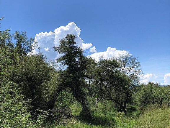 5th image of Highway 82 #6