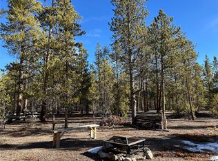 361 Fir Dr #126, Twin Lakes, CO 81251