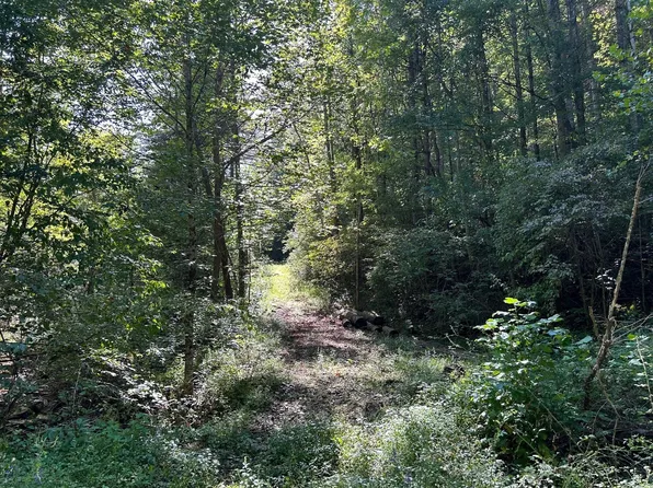 Skyview Ln, Green Sulphur Springs, WV 25966