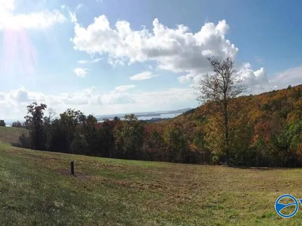 50 County Road 767, Cedar Bluff, AL 35959