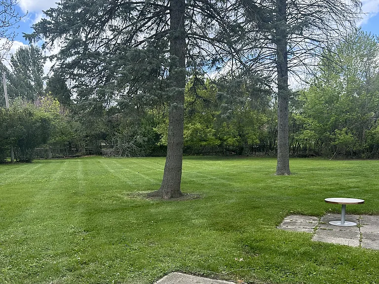 Beautiful, peaceful backyard!