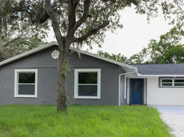 10020 N NINEVAH ROAD, TAMPA, FL 33617