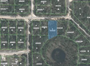 205 Dovil St, Interlachen, FL 32148