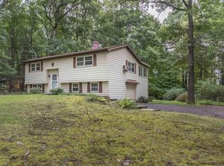 40 Black Rd, Olive, NY 12481