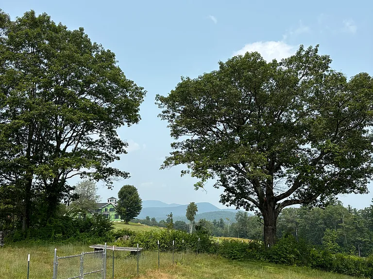 Old Pumpkin Hill Rd — Photo 3