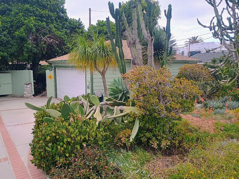 Sidewalk Garden