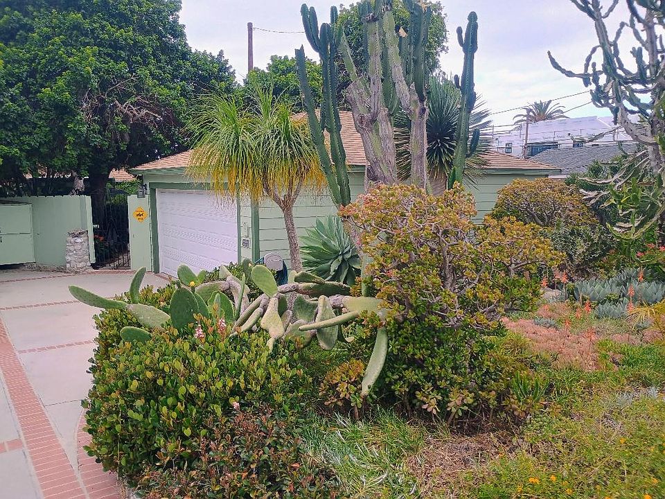 Sidewalk Garden