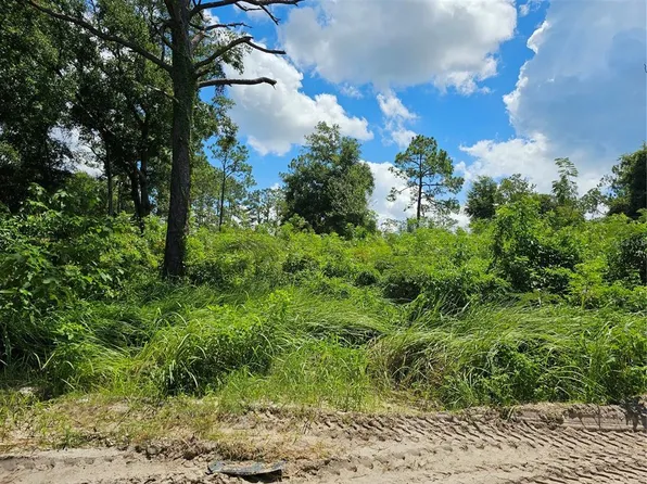 0 SE 104th Ter #9, Belleview, FL 34420