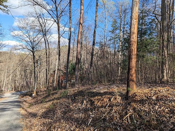 2nd image of 0 Shagbark Hickory Rdg Lot 10