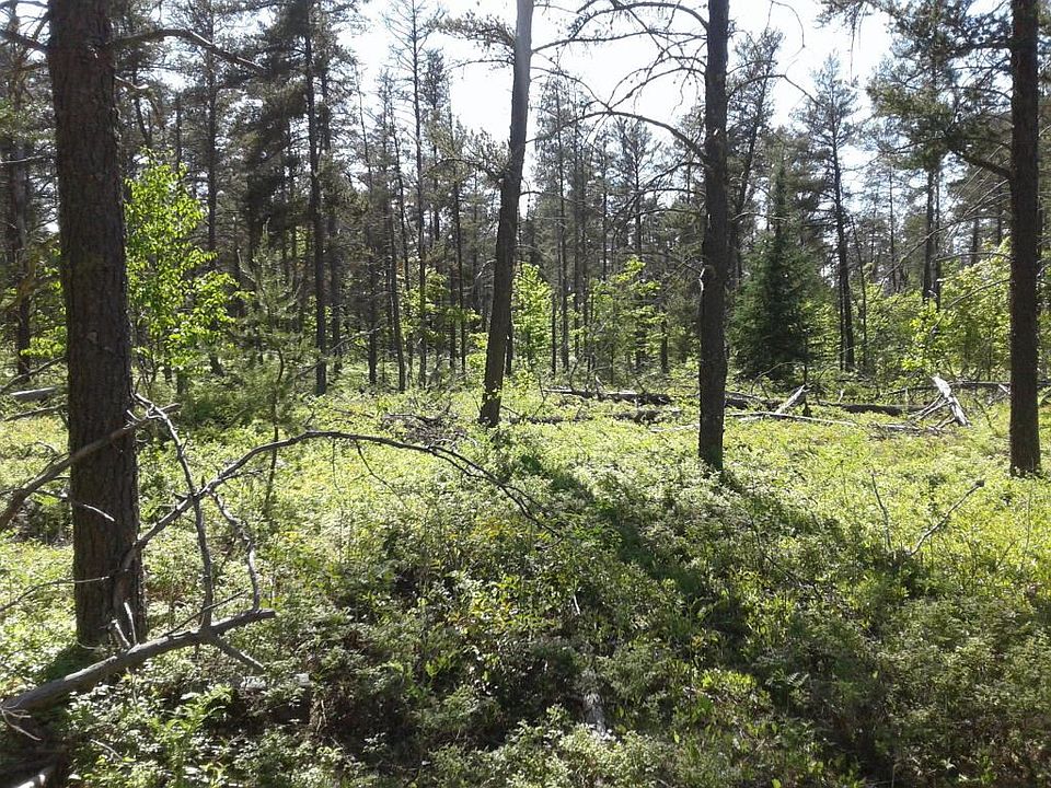 2nd image of W Betsy River Rd