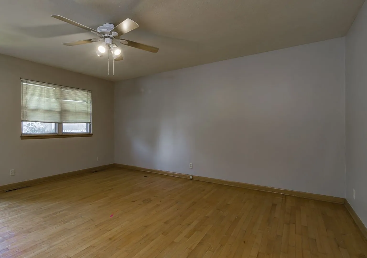 Leasing — Photo 2