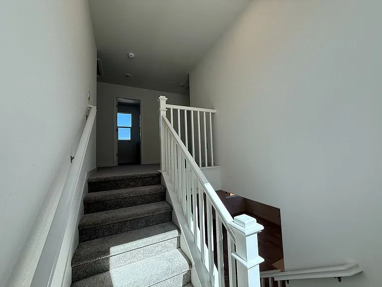 1114 Bengal Loop — Photo 12