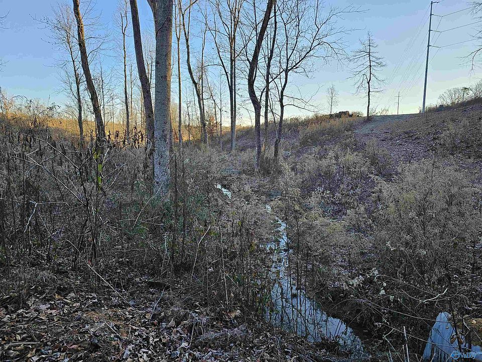 1st image of 13 Bentwood Ln