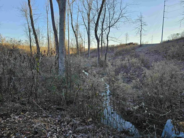 13 Bentwood Ln, Arab, AL 35016