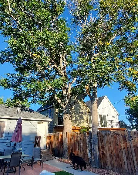 3742 N Lafayette St — Photo 11