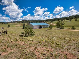 17 Garfield Cir, Florissant, CO 80816