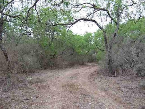 2nd image of 1095  101 COUNTY ROAD