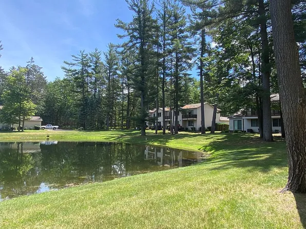 209 White Deer Trl Unit 14, Prudenville, MI 48651