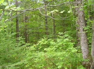 Ray Rd, Mio, MI 48647