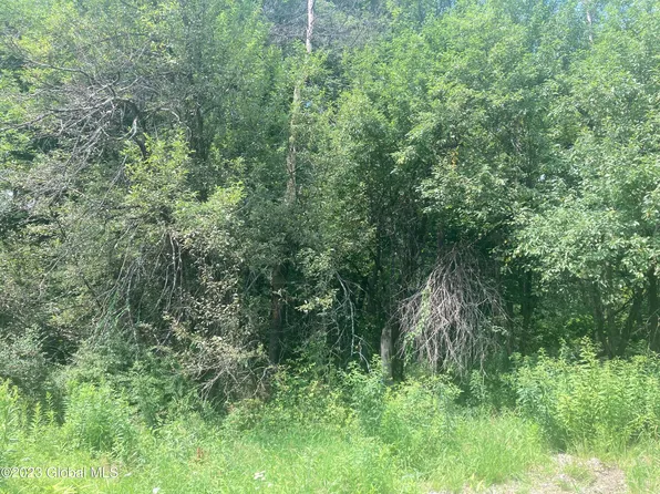 L1.1 Elk Glade Road, Chestertown, NY 12817