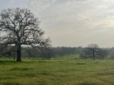 301 Private Road 4388, Decatur, TX, 76234