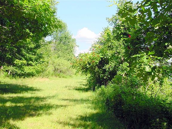 5th image of 2.4 acres on Cty. Rd. D