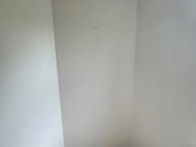 1723 Elijah Blue Dr — Photo 14
