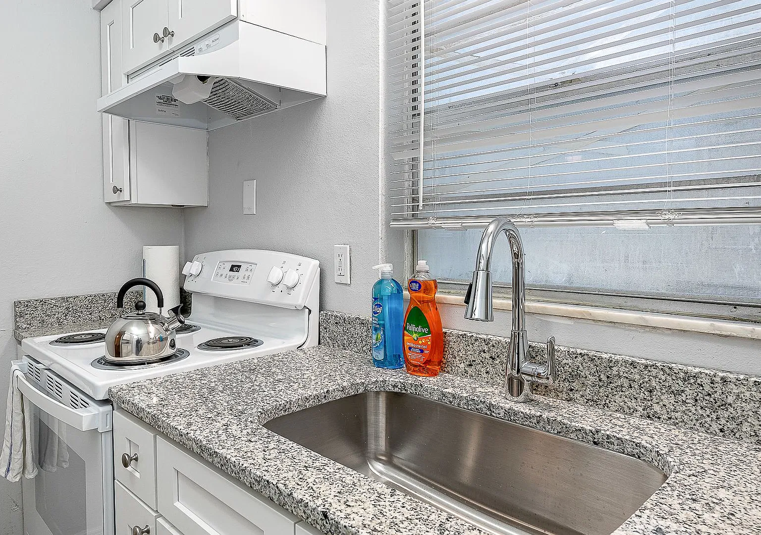 one bedroom,dog park, heart of Tampa — Photo 1