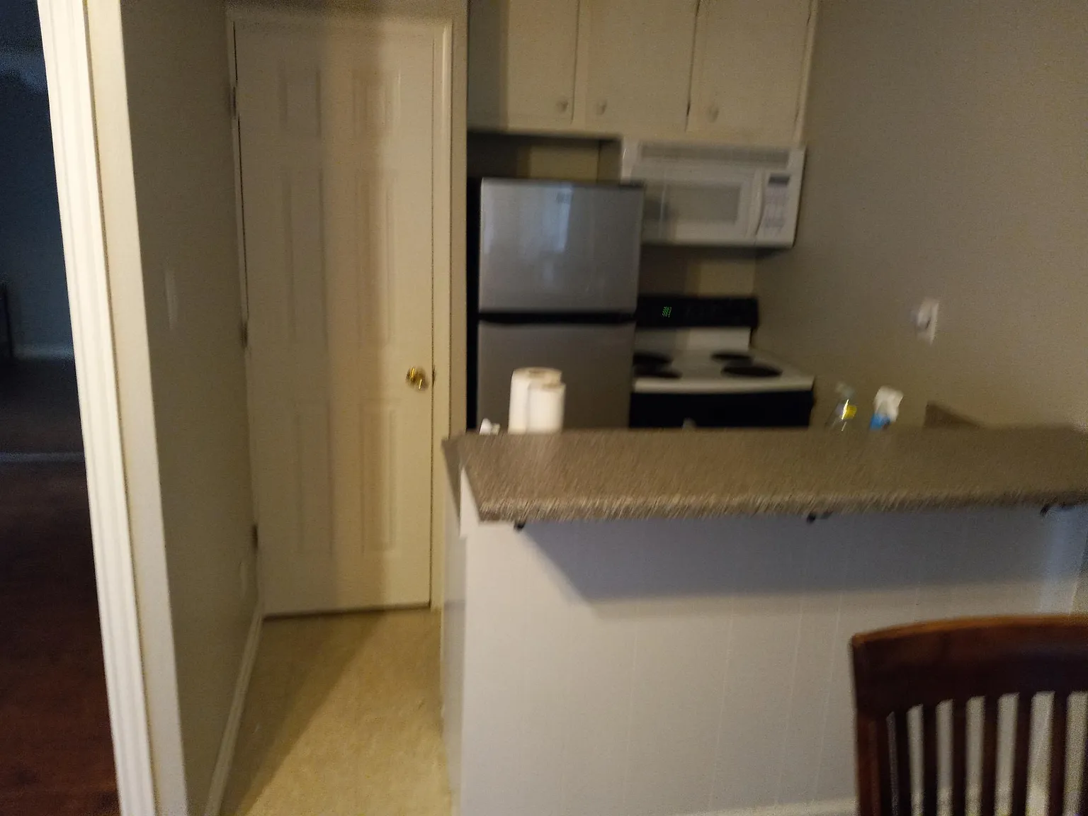 1 bed, 450 sqft, $1,000 — Photo 4