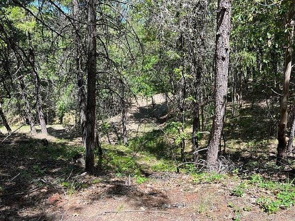 4th image of 189 Bear Creek Trl
