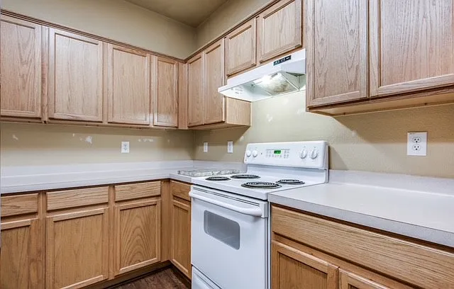 514 Willow Grove Dr — Photo 8
