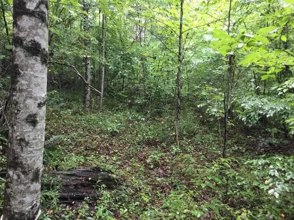 Vann Rd, Harriman, TN 37748