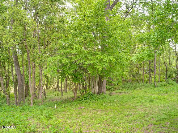 2nd image of 407 Renwood Cir