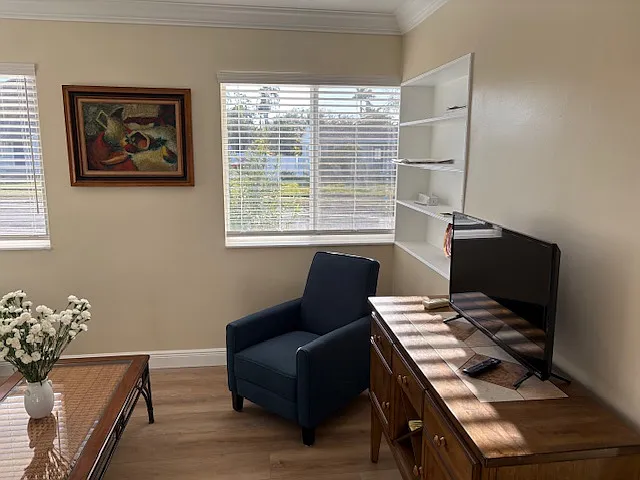 Sunny Living Room