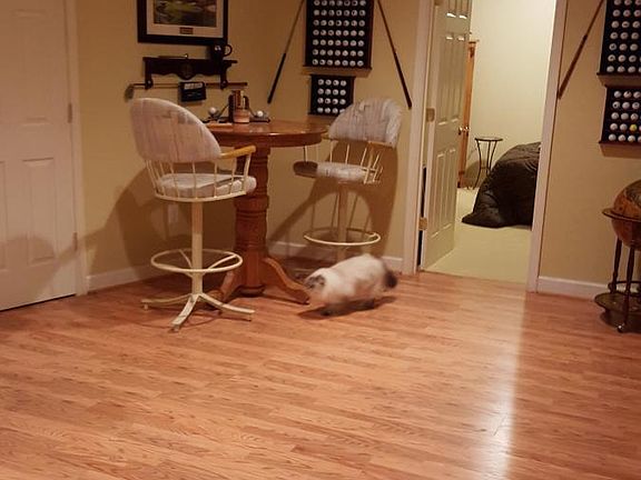 WiFi included - FIOS