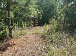 Ppf 11 Payne Pond Rd #PPF-11, Westville, SC 29175