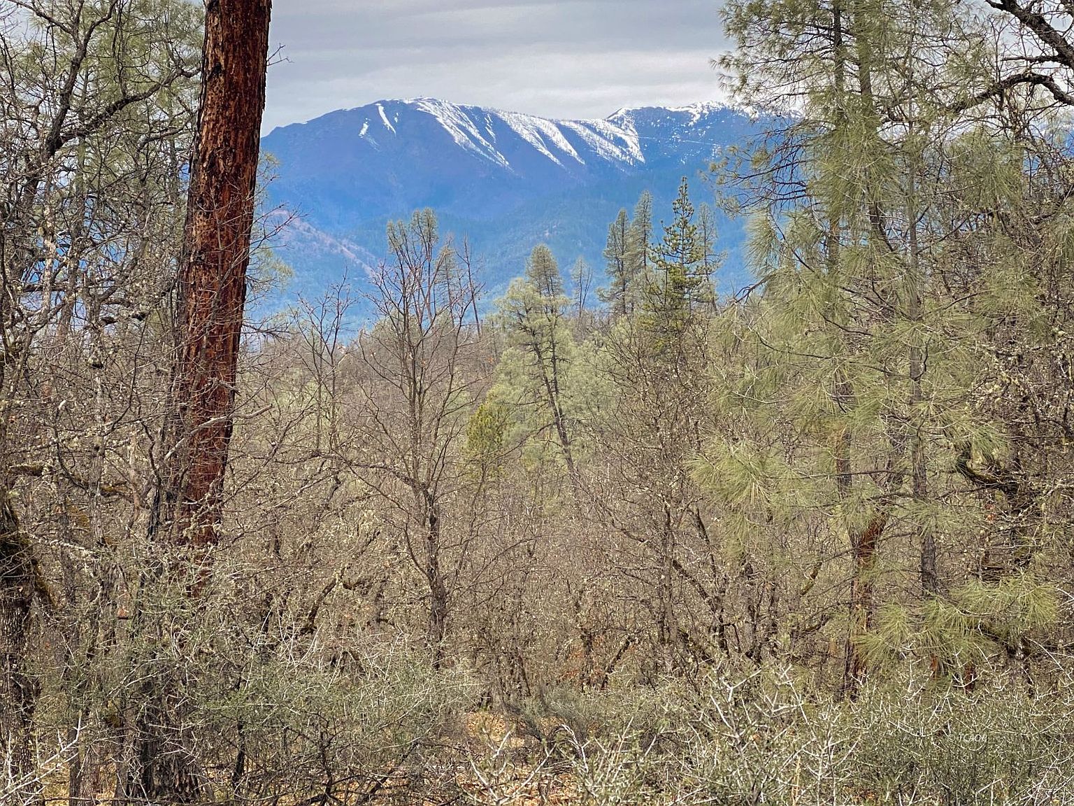 521 Ransom Rd, Weaverville, CA 96093 Zillow