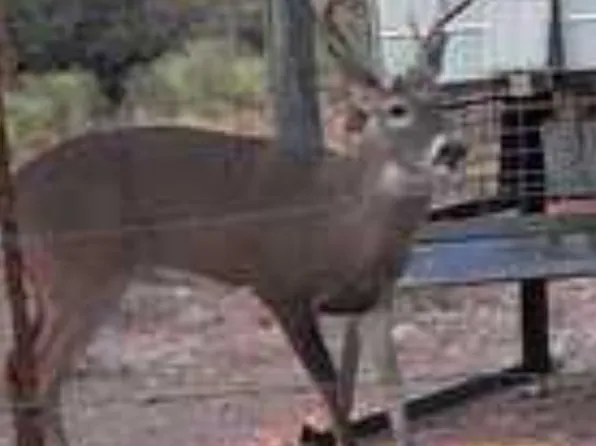 TRACT 5 West Ranch LOT 5, Eden, TX 76837