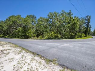 105 NE 239th Ave, Old Town, FL 32680