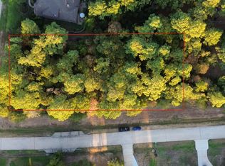 11015 Branch Creek Ct, Conroe, TX 77304