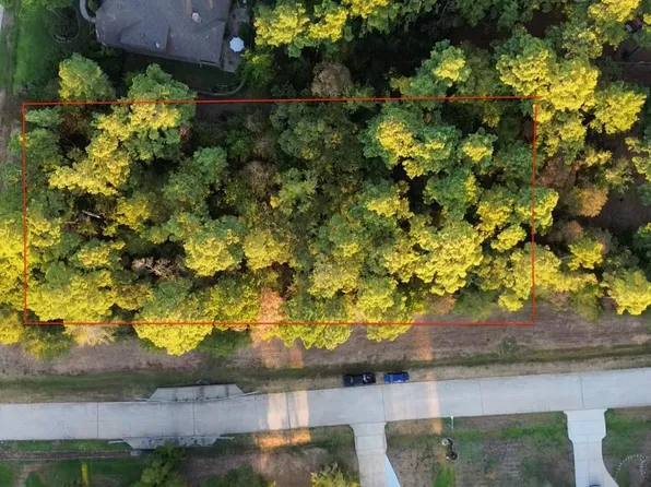 11015 Branch Creek Court, Conroe, TX 77304