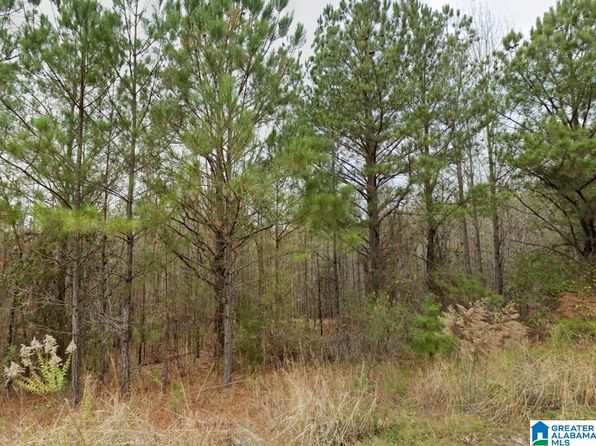 0 Rosser Ests, Duncanville, AL 35456