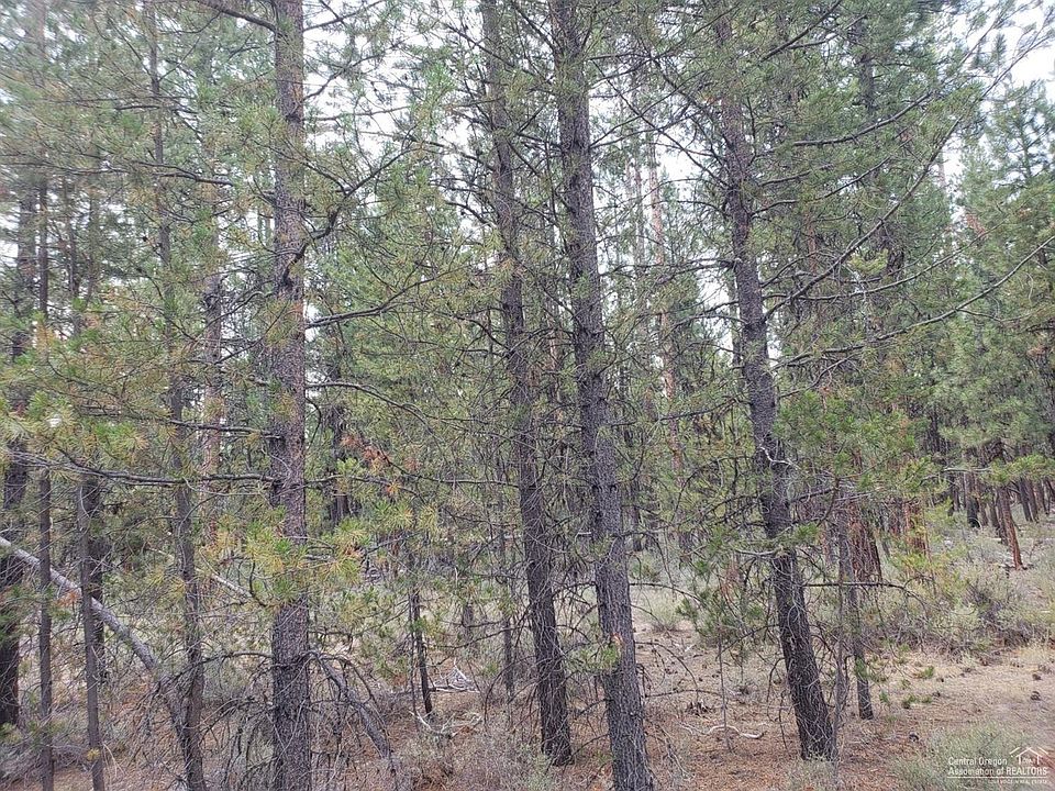 2nd image of 15416 Treemont Pl