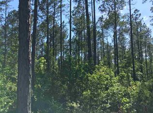 Big Joe Rd, Monticello, FL 32344