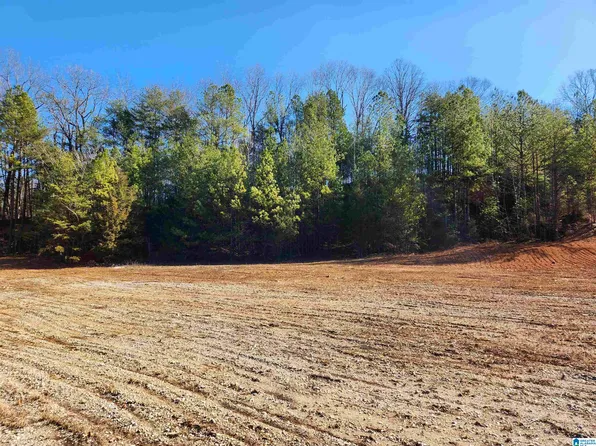 0 Spring Creek Rd #3, Montevallo, AL 35115