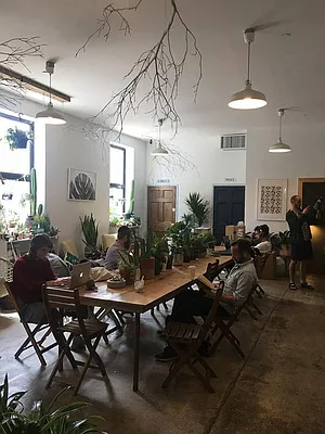 Rented by Manhattan Management LLC | media 42